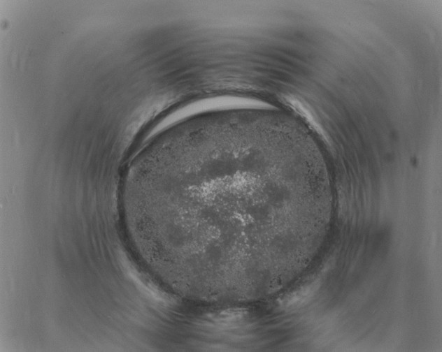 X0000088030447200705182029