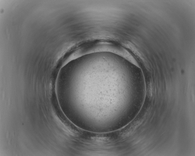 X0000088030448200705182029