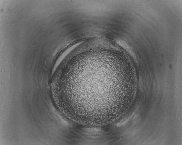 X0000088030449200705182029