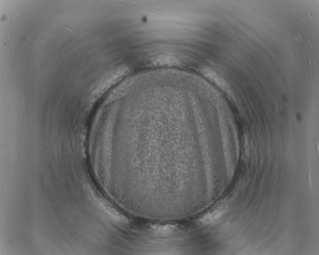 X0000088030450200705182029