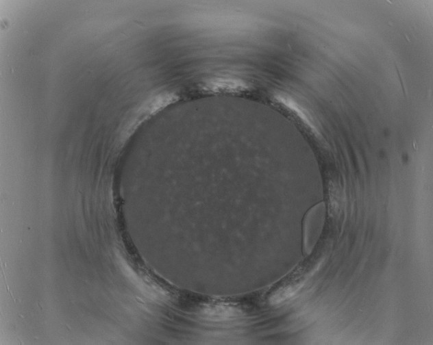 X0000088030451200705182029