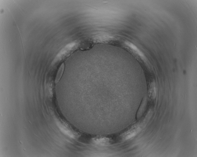 X0000088030452200705182029