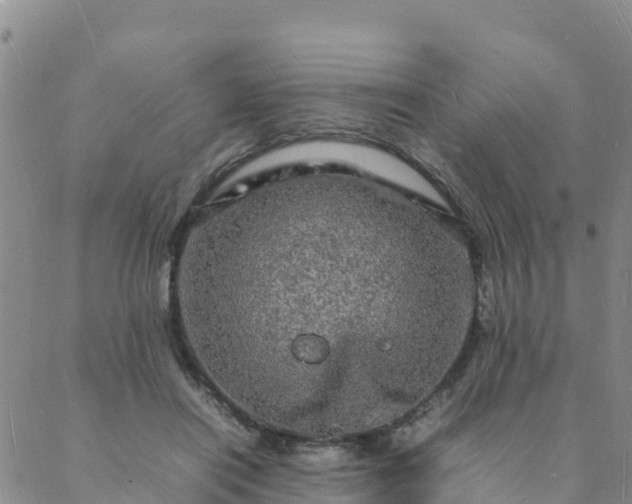 X0000088030454200705182029