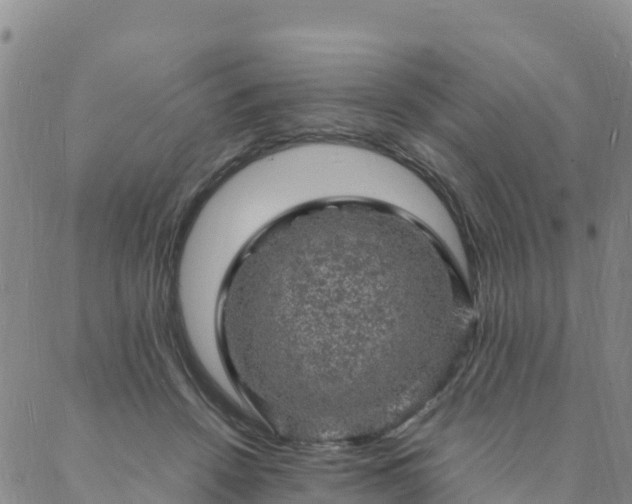 X0000088030456200705182029