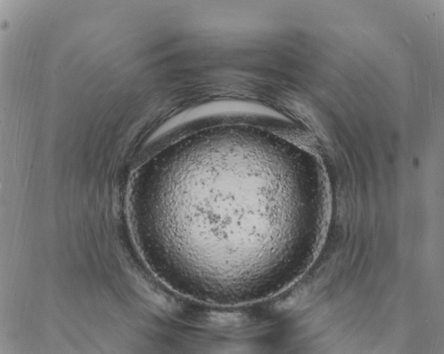 X0000088030457200705182030