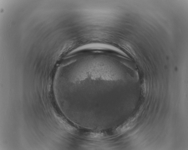 X0000088030458200705182030