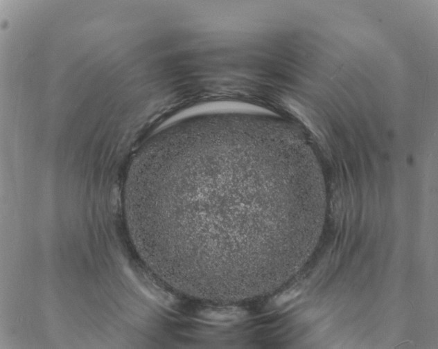 X0000088030459200705182030