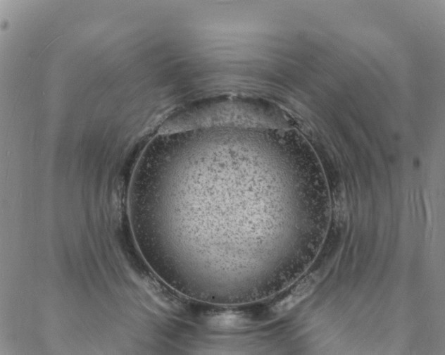 X0000088030460200705182030