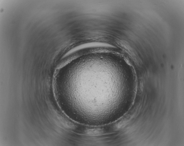 X0000088030461200705182030