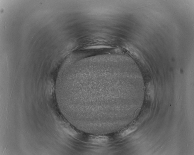 X0000088030463200705182030