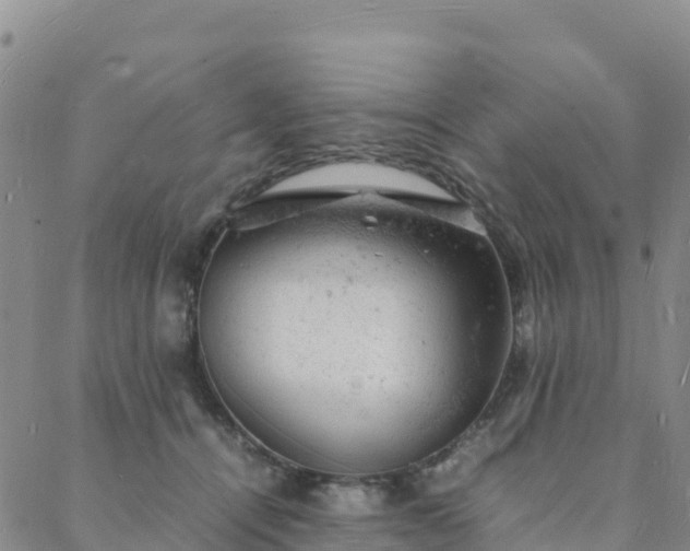 X0000088030464200705182030