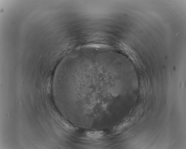 X0000088030465200705182030