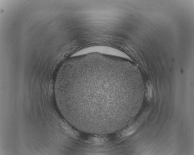 X0000088030466200705182030