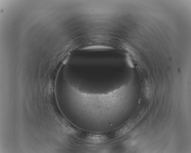 X0000088030467200705182030