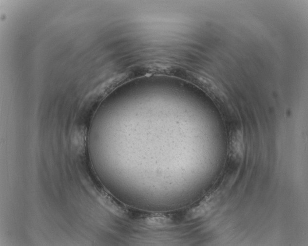 X0000088030468200705182030