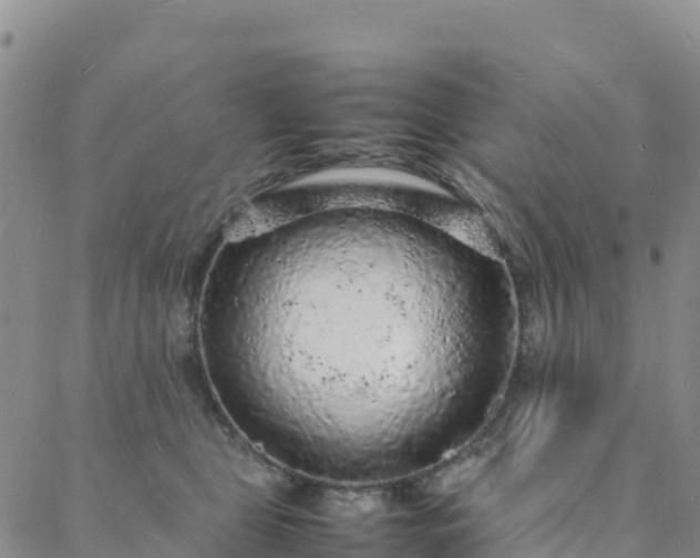 X0000088030469200705182030