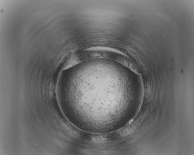 X0000088030470200705182030