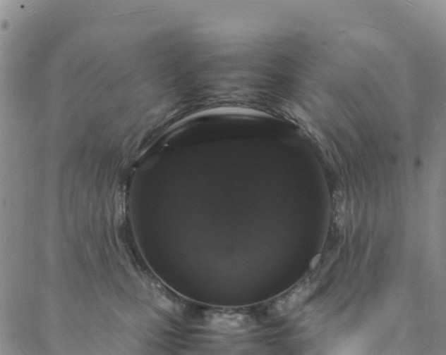 X0000088030471200705182030