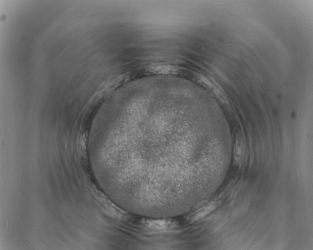 X0000088030473200705182030