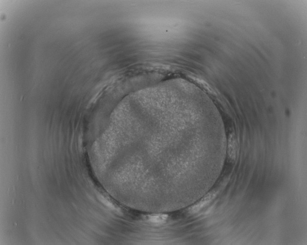 X0000088030474200705182030