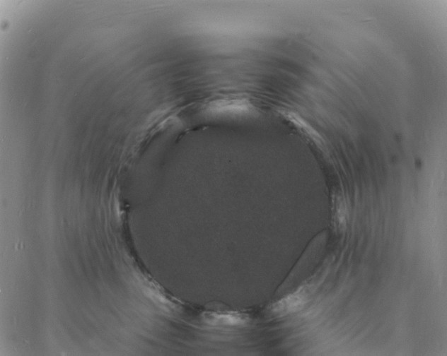 X0000088030475200705182030