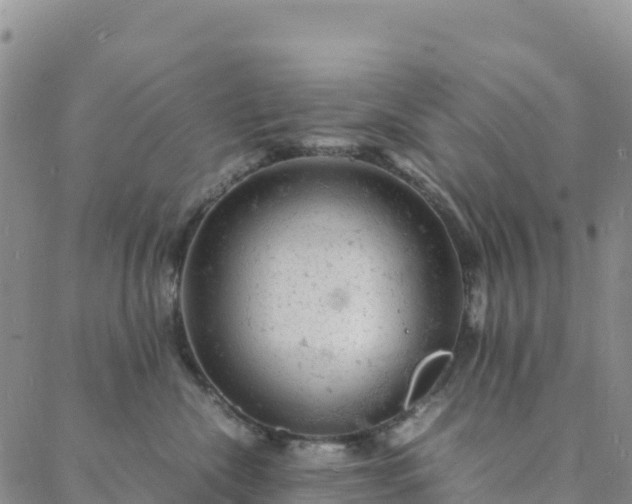 X0000088030476200705182030