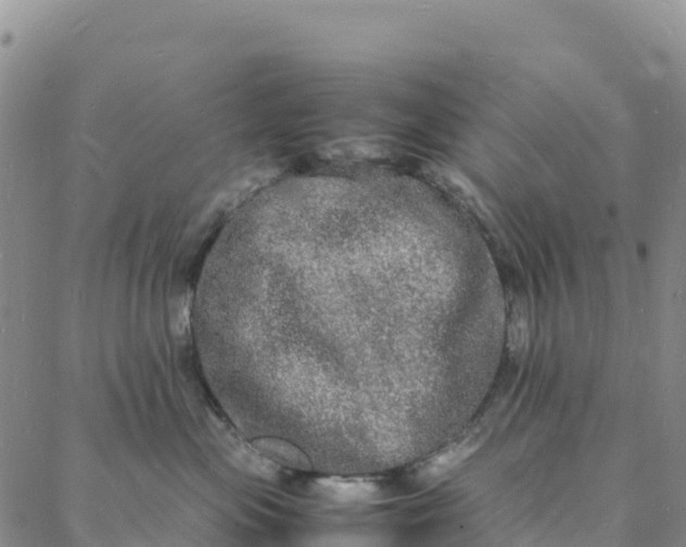 X0000088030477200705182030