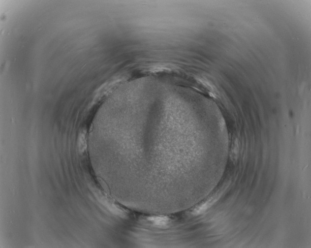 X0000088030478200705182030