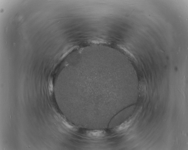 X0000088030479200705182030