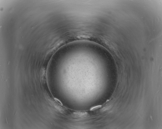 X0000088030480200705182030