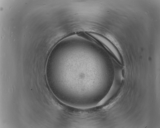 X0000088030481200705182029