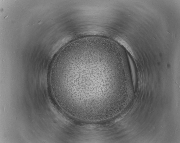 X0000088030482200705182029