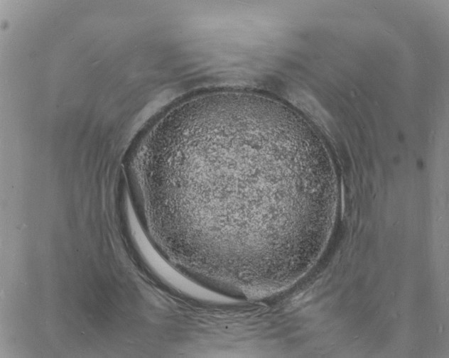 X0000088030483200705182029