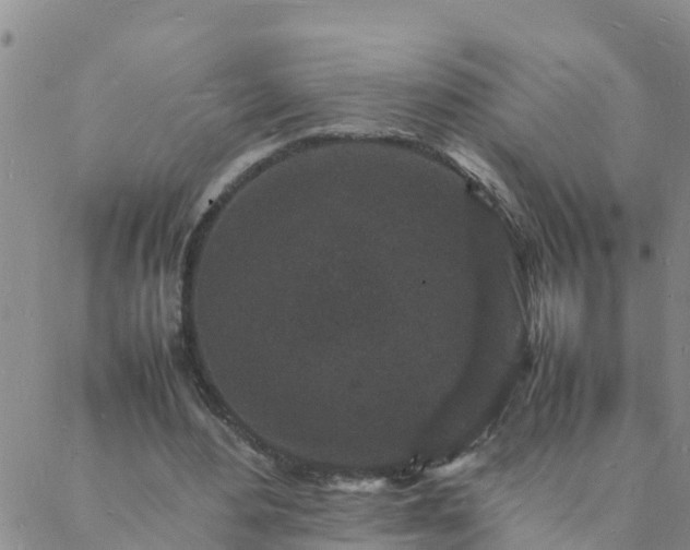 X0000088030484200705182029