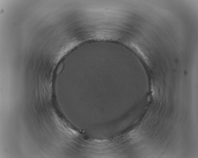 X0000088030488200705182029