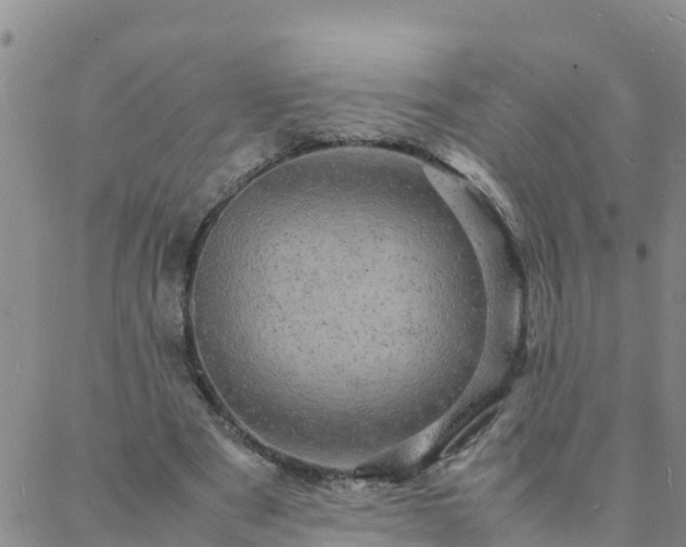 X0000088030489200705182029