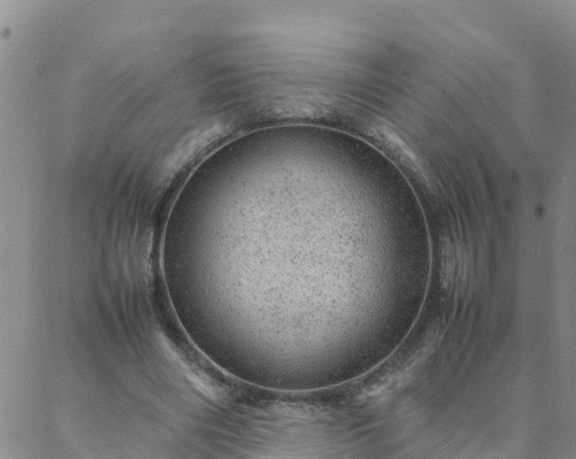 X0000088030490200705182029