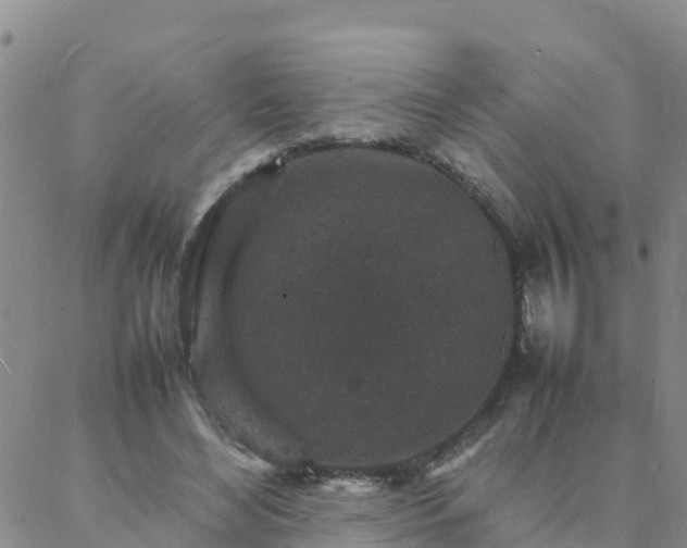 X0000088030492200705182029