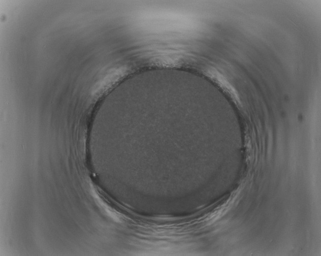 X0000088030493200705182029