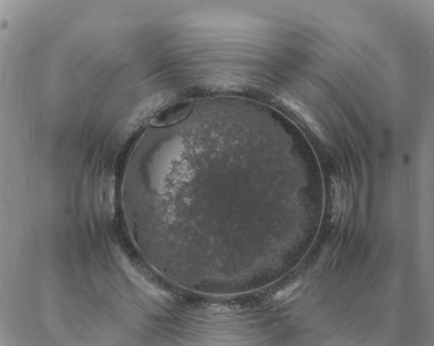 X0000088030494200705182029