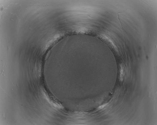 X0000088030496200705182029