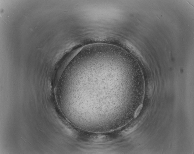 X0000088030497200705182029