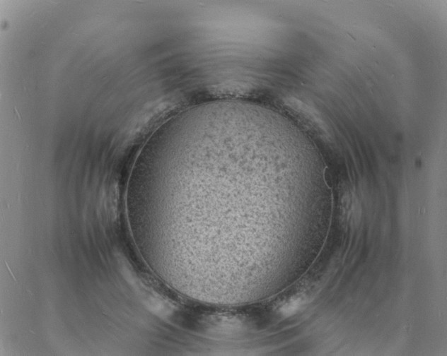 X0000088030498200705182029