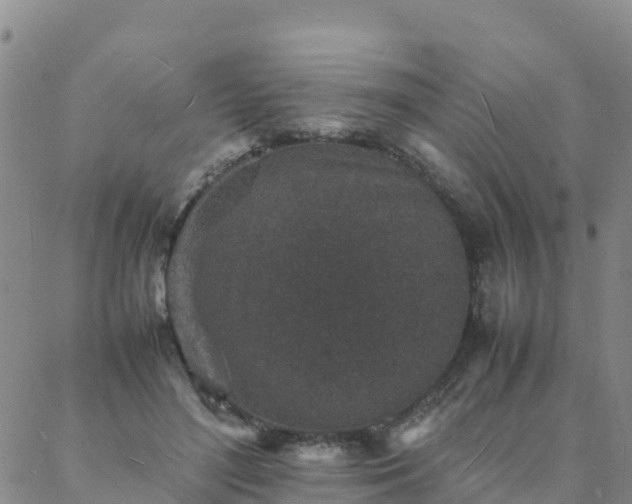 X0000088030500200705182029