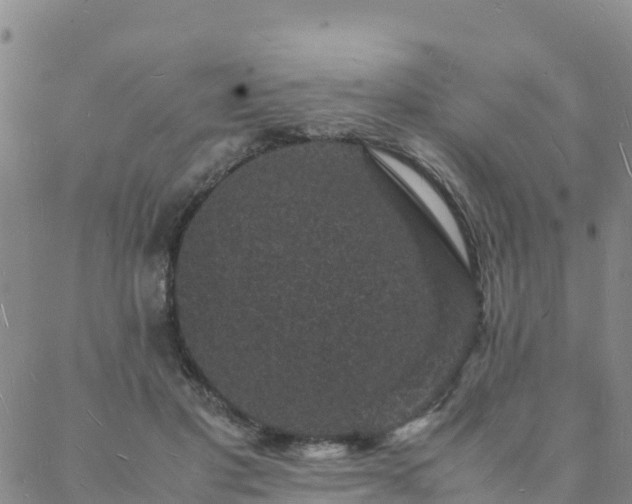 X0000088030501200705182029