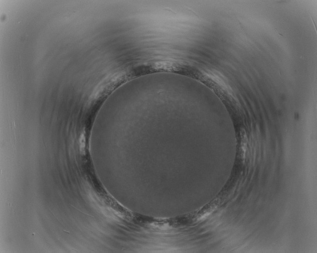 X0000088030502200705182029