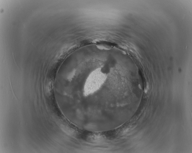 X0000088030503200705182029