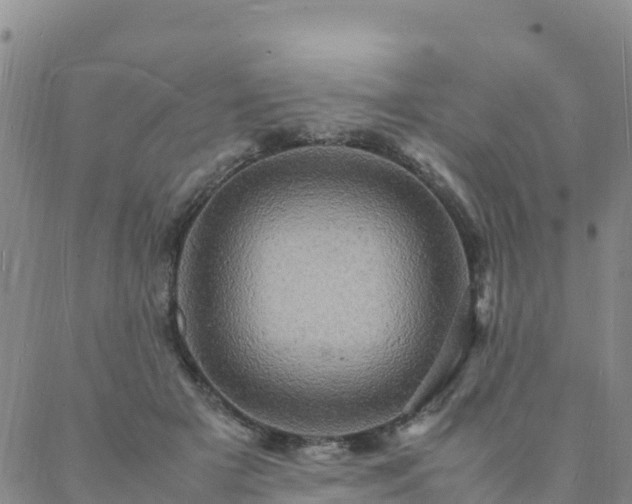 X0000088030505200705182029