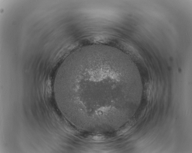 X0000088030506200705182029