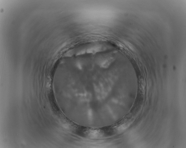 X0000088030507200705182029